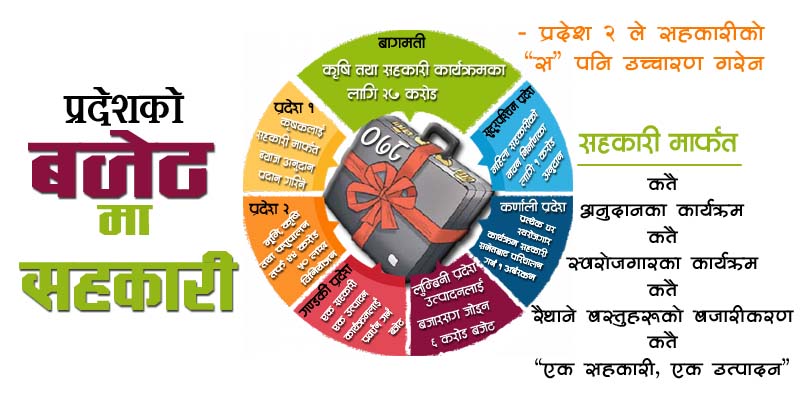 के ! नीति तथा कार्यक्रममा भनिएजती नै आयो त बजेट ! ( नीति तथा कार्यक्रम सहित )